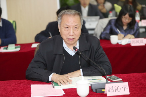 赵沁平院士总结讲话